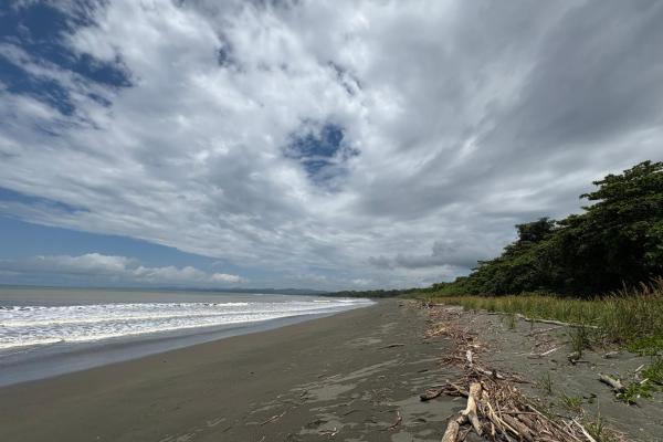 +9 hectáreas de terreno plano frente al mar en venta