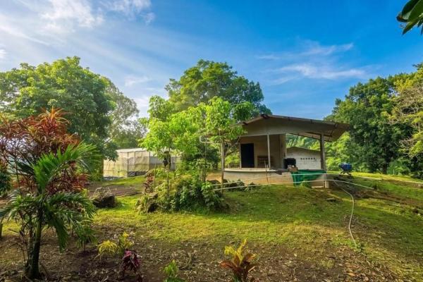 Coffee farm for sale in el cascajal, la pintada