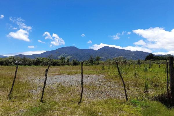 Flat road-front lot for sale in volcan