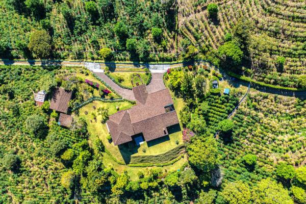 Coffee farm estate in boquete panama