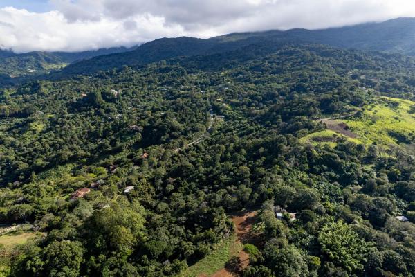 Finca de café y aguacate de boquete con vistas al volcán barú