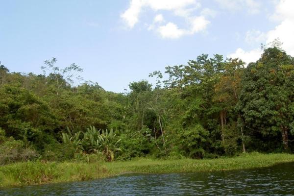 Finca en venta a orillas de lago gatún, colón