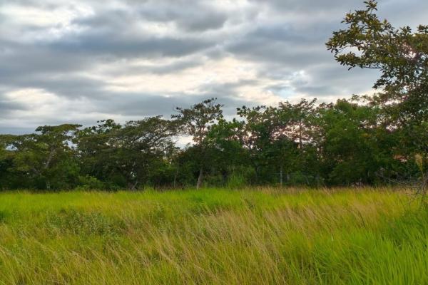 Se vende lote de terreno de 2.5 hectáres en el retiro, antón, coclé