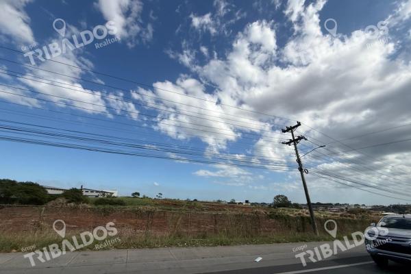 Land for sale in mañanitas