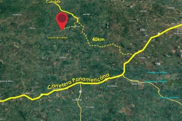 Ideal farm for sugarcane cultivation in veraguas