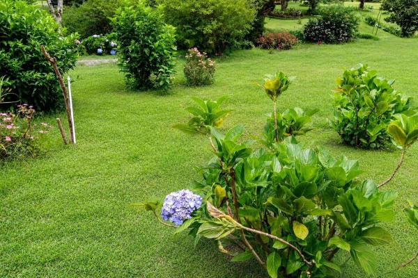 Terreno de 2.600 m² en venta en volcancito, boquete