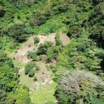 Coffee farm for sale – los naranjos, boquete