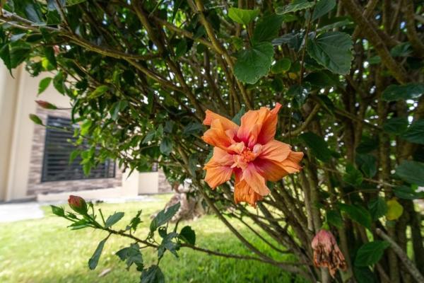 Excepcional casa en cerro verde estates, boquete