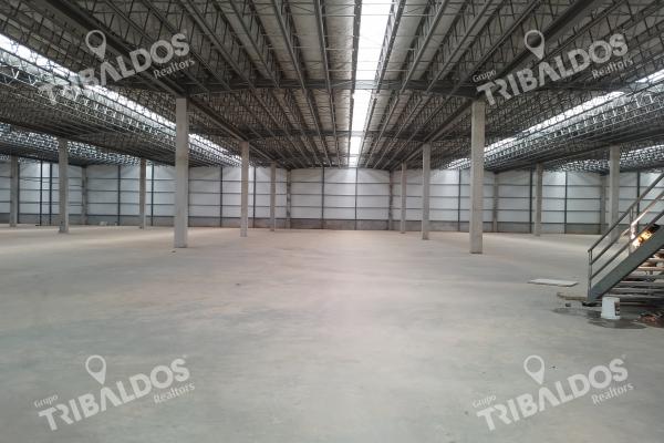 Venta y alquiler de galera south park