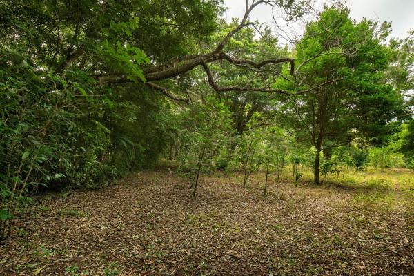 Terreno panorámico en boquete, panamá