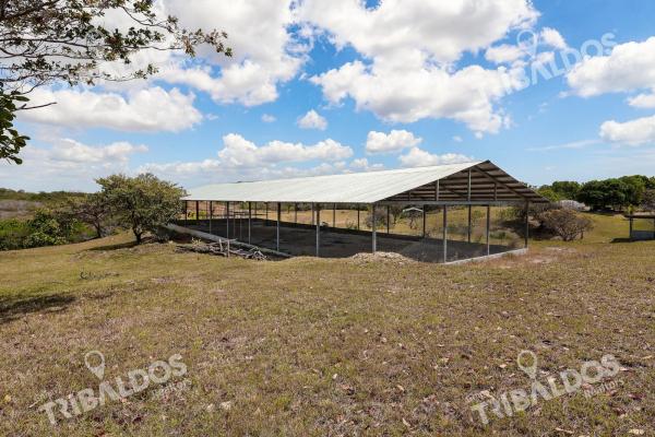 Venta de granja con mejoras en san carlos