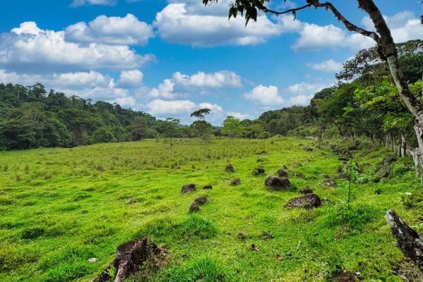 Naturaleza, espacio y potencial en un solo lugar