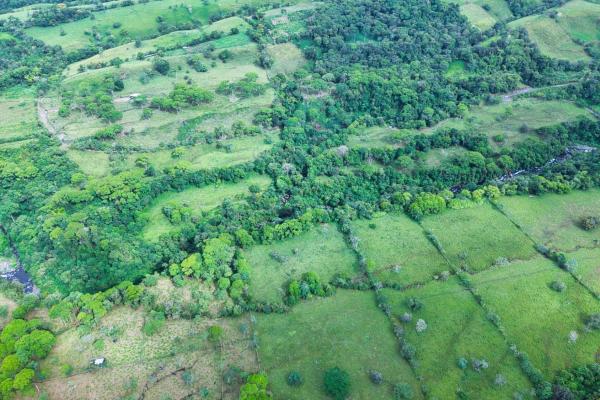 Naturaleza, espacio y potencial en un solo lugar