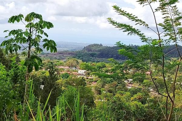 Impresionante propiedad de montaña de 5 hectáreas con vistas al mar, sora