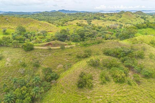 6-hectare hill property for sale in boca chica