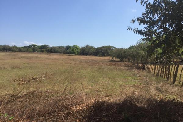 4.4-hectare land opportunity near buenaventura