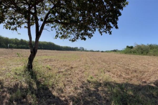 Venta de terreno en playa blanca