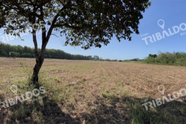 Venta de terreno en playa blanca