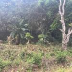 Terreno de 4 hectáreas en venta en veracruz, panamá