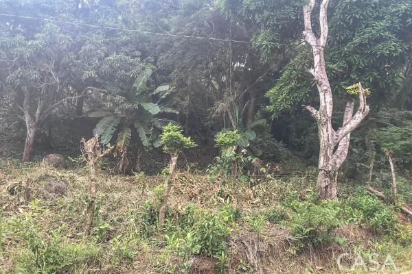 Terreno de 4 hectáreas en venta en veracruz, panamá