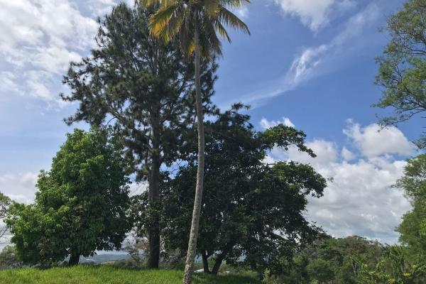 Amplia propiedad de 146.652 ha con fuentes de agua