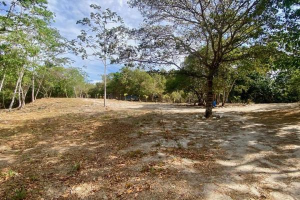 Finca de 4.3 hectareas – proyecto ideal comunidad