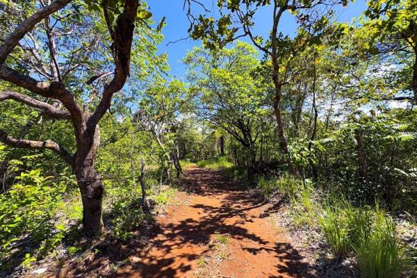 Spacious 59,086 m² land in síndigo, caldera