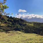 Cattle farm or private retreat