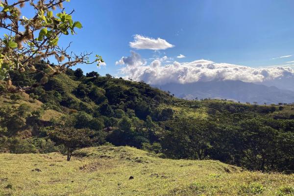 Cattle farm or private retreat