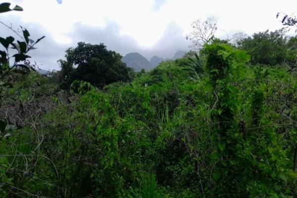 3+ ha in capira