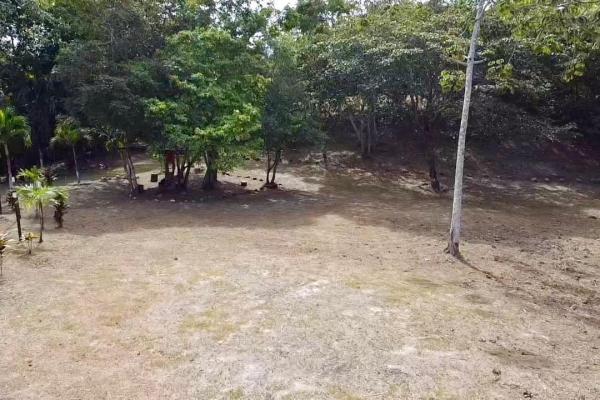 Finca de 4.3 hectareas – proyecto ideal comunidad