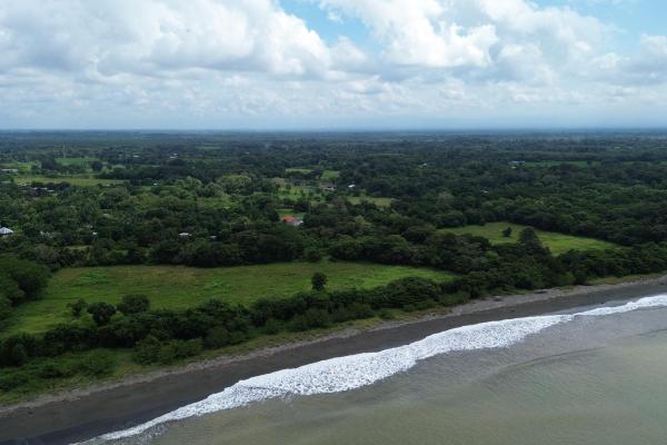 +9 hectares of flat beachfront land for sale