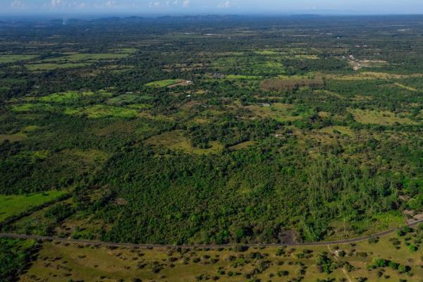 10 hectares for sale in caldera boquete