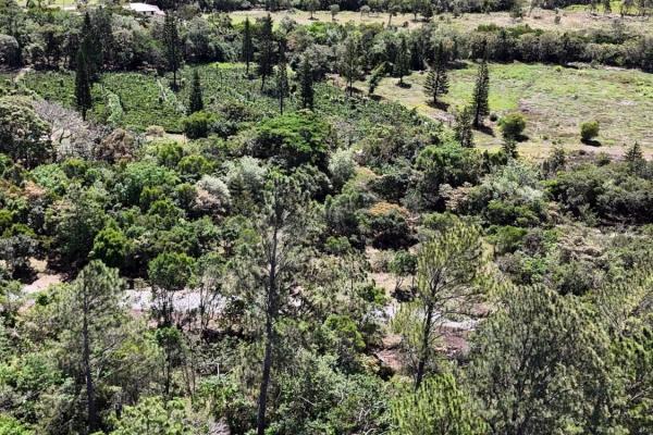 Land for sale in santa lucía, volcancito, boquete