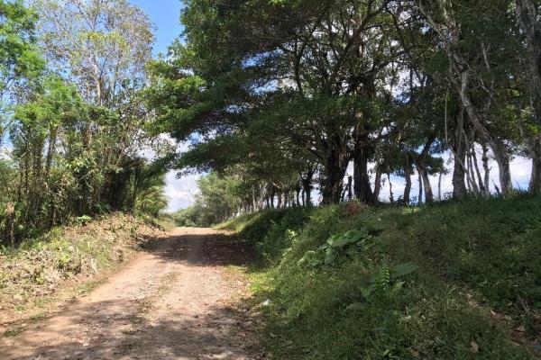 Amplia propiedad de 146.652 ha con fuentes de agua