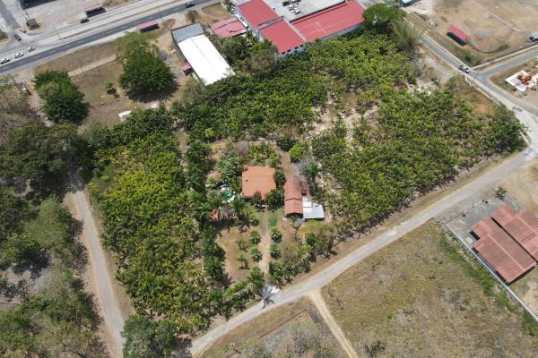 Se vende casa con plantación en nueva gorgona, chame