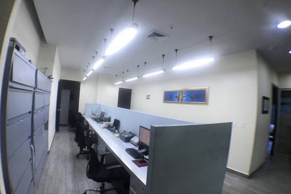 Office plex 7