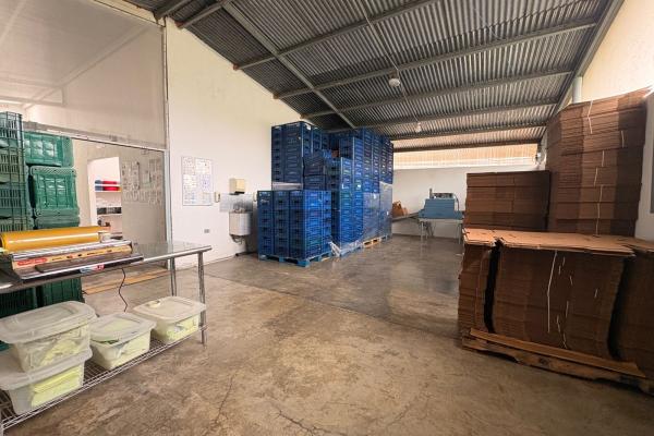 Venta de finca agroindustrial en volcan