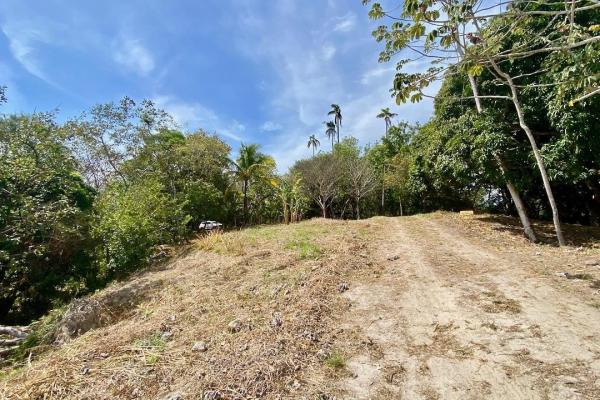 Finca de 4.3 hectareas – proyecto ideal comunidad