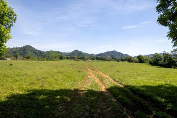 Four hectare property for urbanization in david
