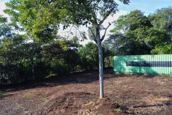 Lote de 1.86 hectáreas en potrerillos arriba dolega