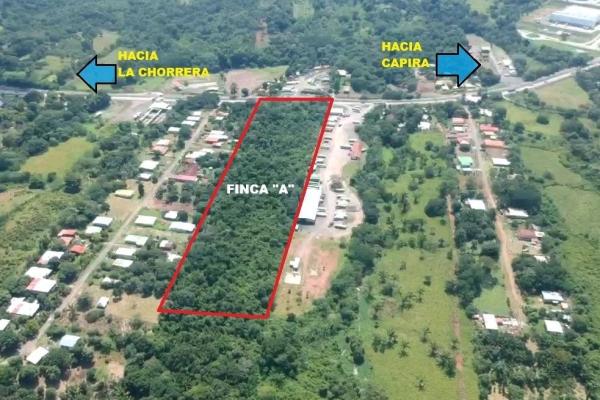 Finca de 9.9 has, en el espino, sobre la panamericana