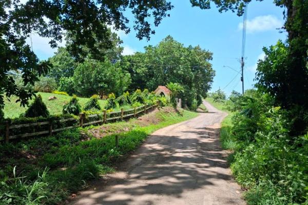 3+ ha in capira