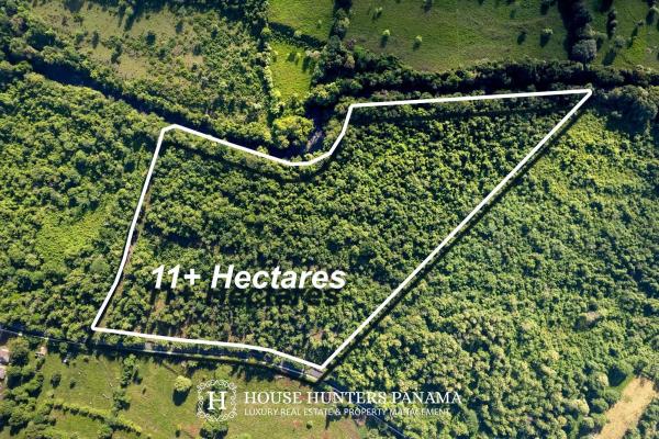 Terreno urbanizable de 11 hectáreas en venta - bagalá, panamá