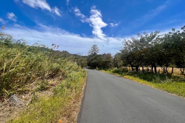 Mountain sanctuary: serene lot with hillside charm
