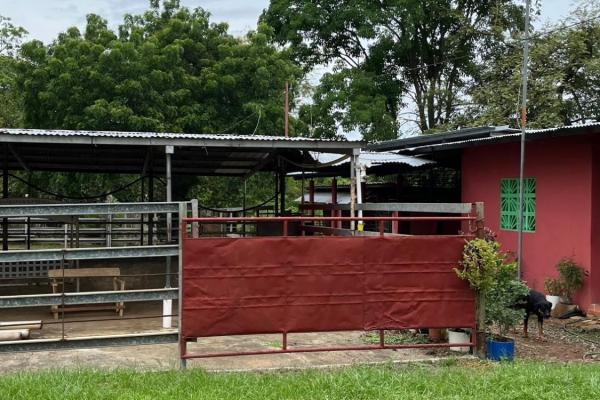 Farm with residence in ocú