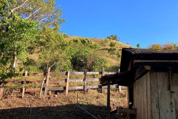 Cattle farm or private retreat