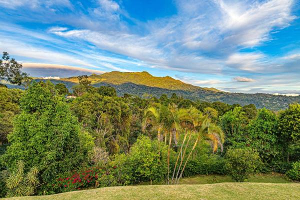 Coffee farm estate in boquete panama