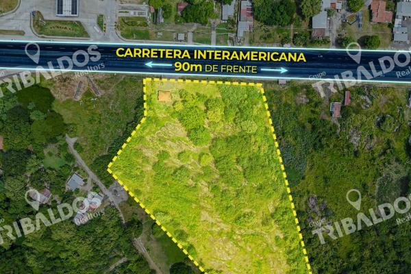 Venta de terreno comercial sobre la interamericana en coronado