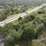 Finca en nuevo san juan , colón , 250 ha